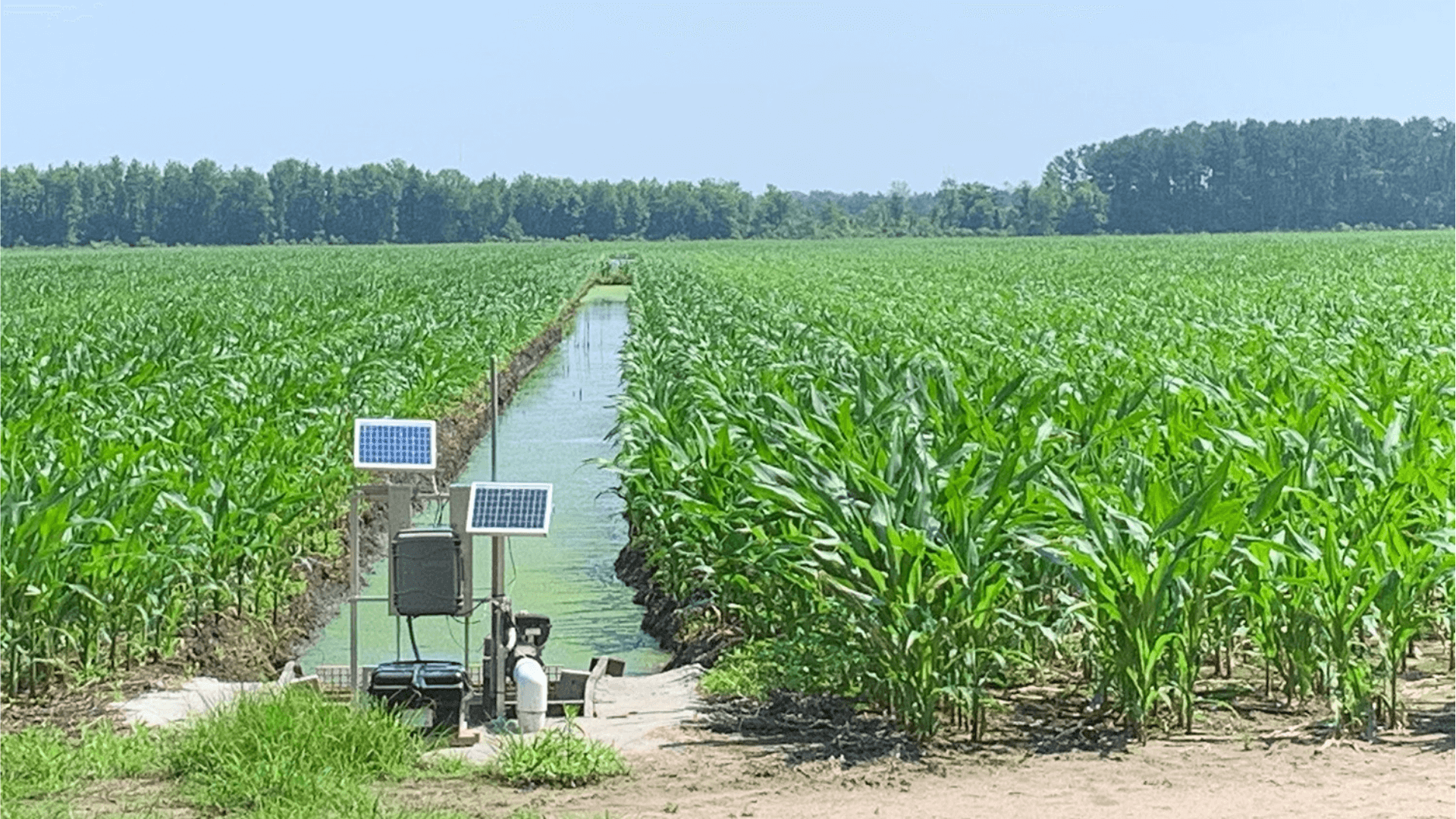Effective Water Management Techniques for Optimal Crop Yield