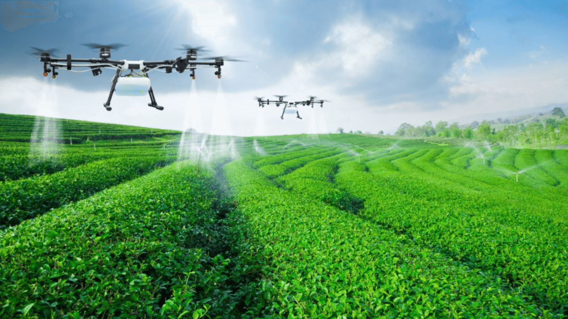 Precision Farming: Leveraging Technology for Efficient Agriculture