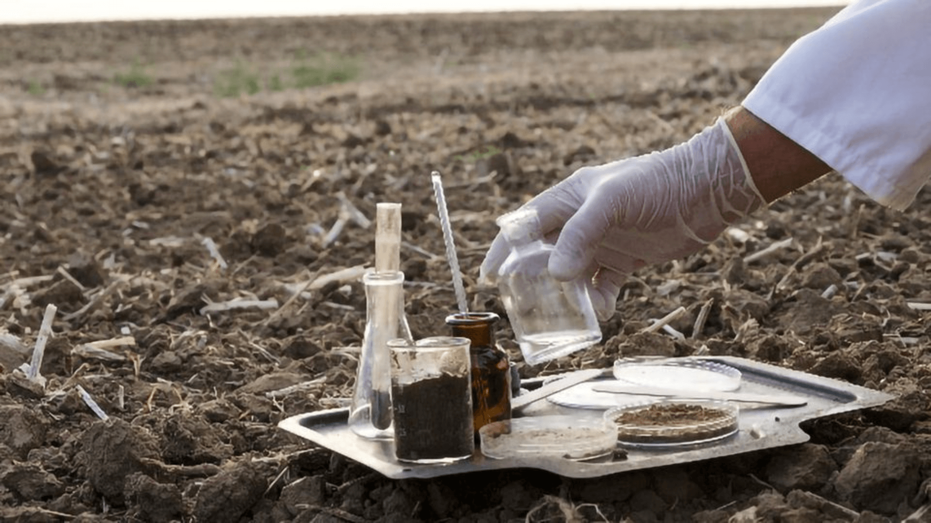 Understanding Soil Health: Testing, Analysis, and Improvement Strategies